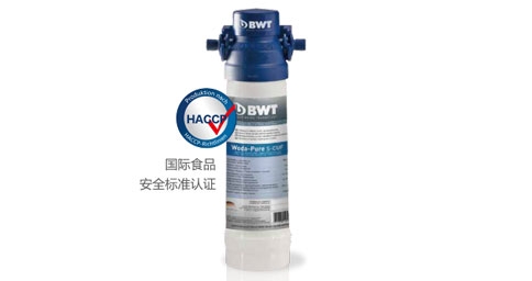 重庆BWT Woda-Pure s超能系列草莓视频IOS版官网器